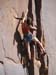 IMG_2100 climber