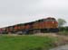 IMG_1295 3 locos 125 wagons